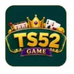 Ts52 Game